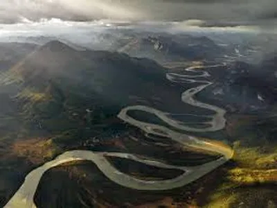 Illustration tortuous - Image 2