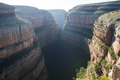 Illustration krans - Image 1