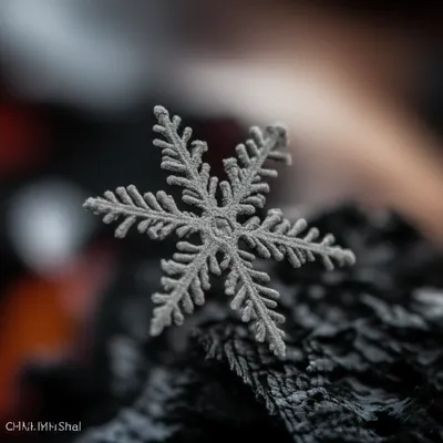 Illustration smut - Image 1