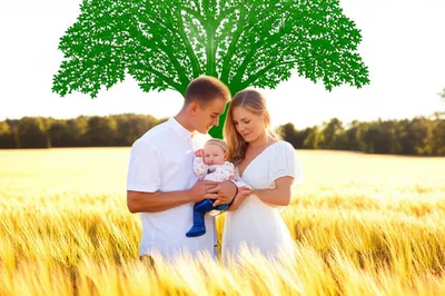 Illustration breeder - Image 1