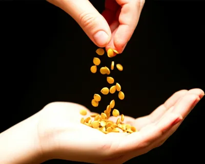 Illustration donation - Image 1