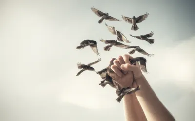 Illustration seizures - Image 1