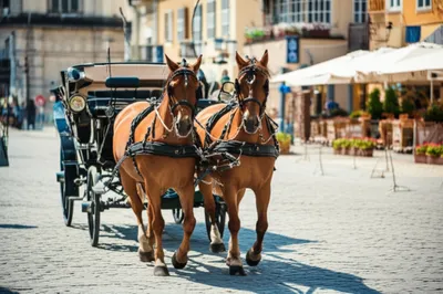 Illustration spans - Image 1