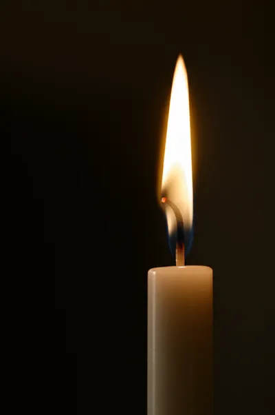 Illustration taper - Image 1