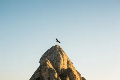 Illustration serene - Image 1