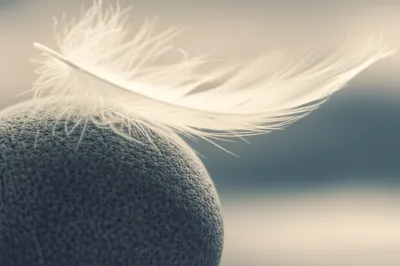 Illustration lite - Image 1