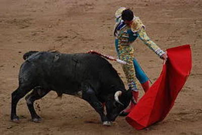 Illustration bullfighting - Image 2