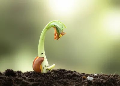 Illustration awake - Image 1