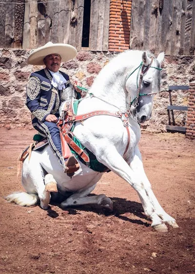 Illustration rodeos - Image 2