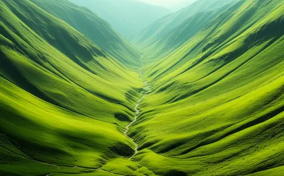 Illustration reentrant - Image 1