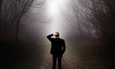 Illustration stump - Image 1