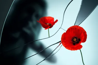 Illustration triggers - Image 1