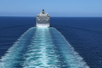 Illustration wakes - Image 1