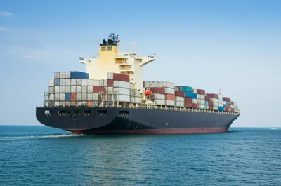 Illustration bottom - Image 1