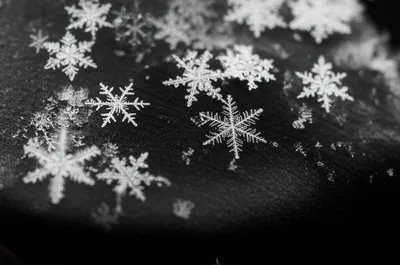 Illustration sticking - Image 1