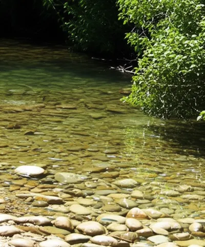 Illustration freshwater - Image 1