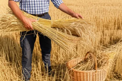 Illustration tithes - Image 1