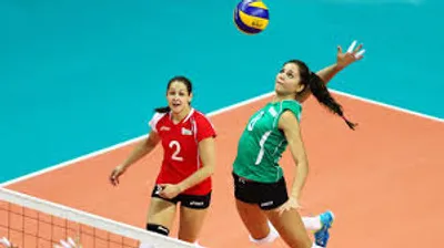 Illustration spike - Image 2