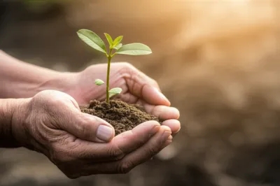 Illustration mothering - Image 1