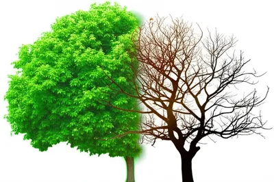 Illustration consumed