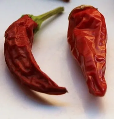 Illustration shriveled - Image 2