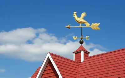 Illustration fane - Image 1