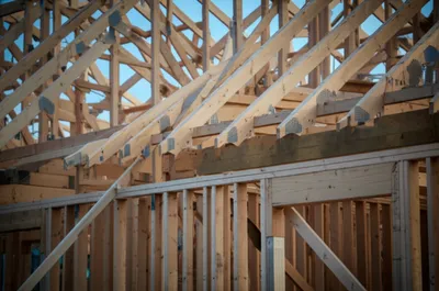 Illustration framing - Image 1