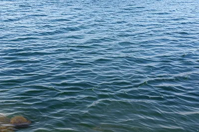 Hình ảnh minh họa motions - Ảnh 1