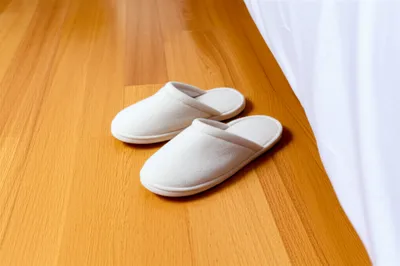 Illustration slippers