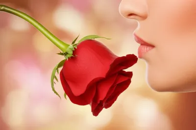 Illustration procumbent - Image 1