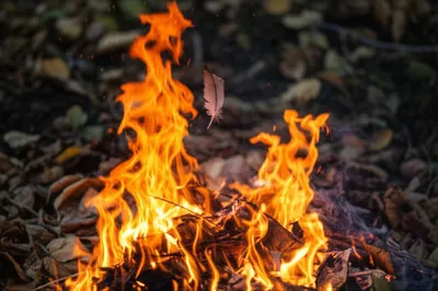 Illustration lightest - Image 1