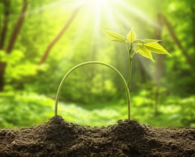 Illustration unbending - Image 1