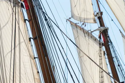 Illustration backstay - Image 1