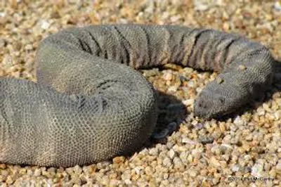 Illustration granulated - Image 2