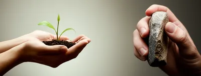 Illustration serving - Image 1