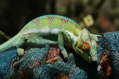 Illustration indues - Image 1