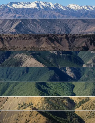 Illustration banded - Image 1