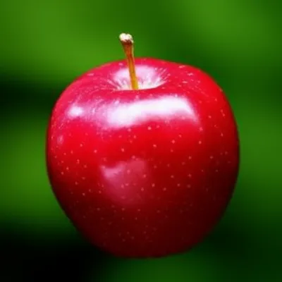 Illustration sheen - Image 1