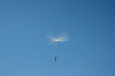 Illustration subtleties - Image 1