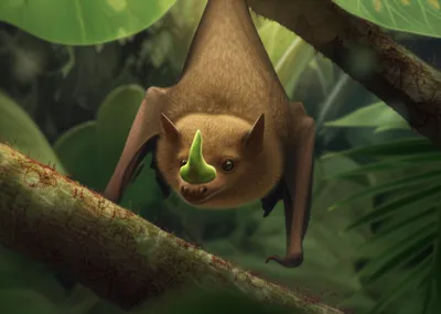 Illustration leaf-nosed bat - Image 1