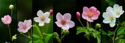 Illustration parity - Image 1