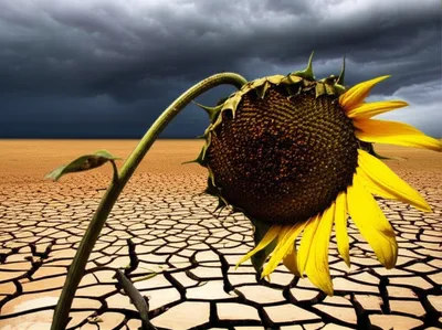 Illustration grievously