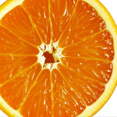 Illustration segmented