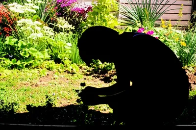 Illustration ressentiment - Image 1