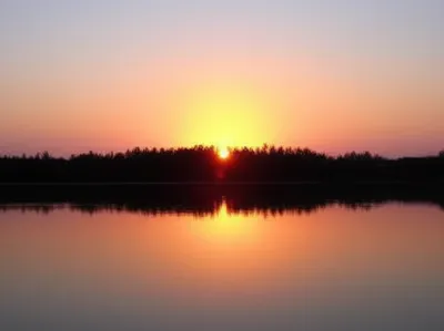 Illustration reflects - Image 1