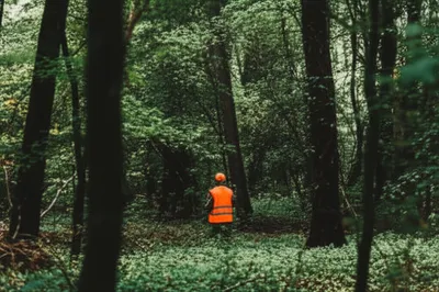 Illustration blazes - Image 1