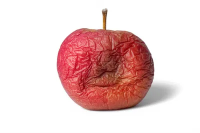 Illustration shrivelled