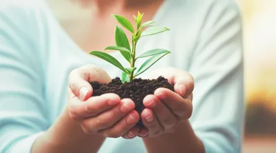 Illustration have - Image 1