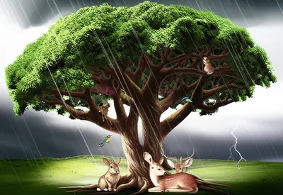 Визуальная иллюстрация слова «protects» - Защищает, охраняет