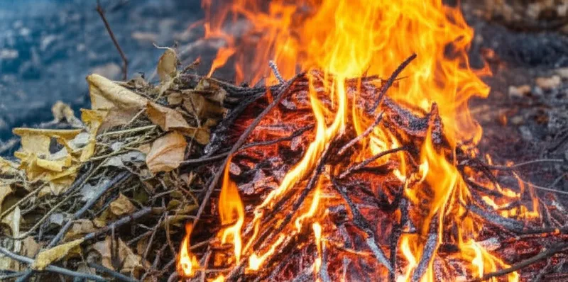 Illustration visuelle du mot « combustion » - Combustion, brûlage